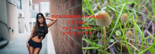 молекула духа Алзамай