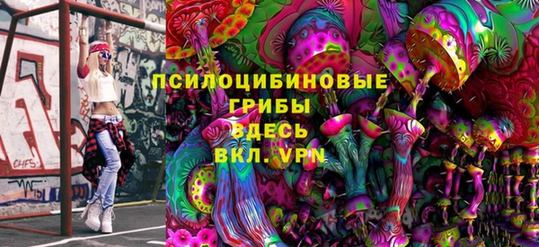 индика Алексеевка