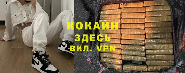 индика Алексеевка