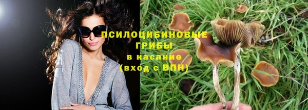 молекула духа Алзамай