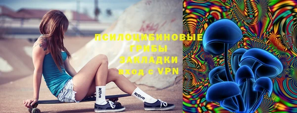ешки Алексин