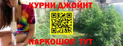 сатива Дубна