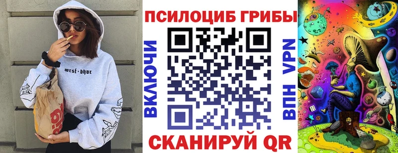 Псилоцибиновые грибы Psilocybine cubensis  магазин  наркотиков  OMG как войти  Котовск 