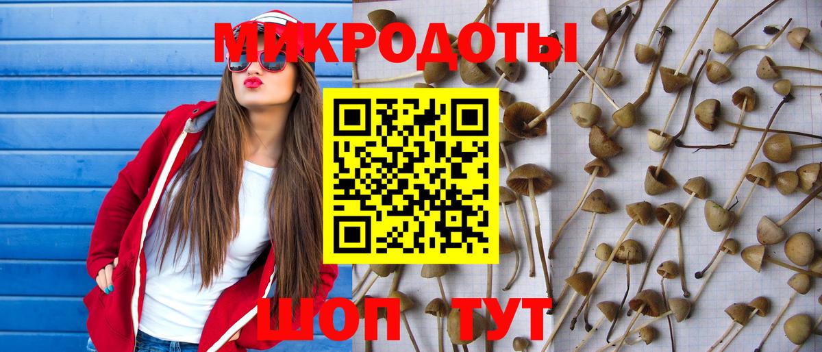 Галлюциногенные грибы Psilocybe  Вход с VPN  Котовск 